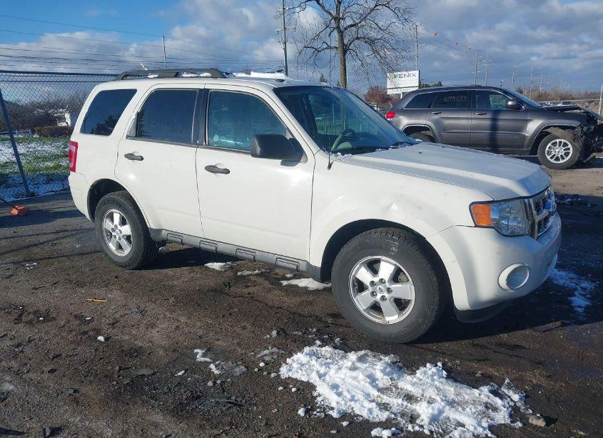 2010 Ford Escape XLT (VIN 1FMCU0D70AKC88676) main photo