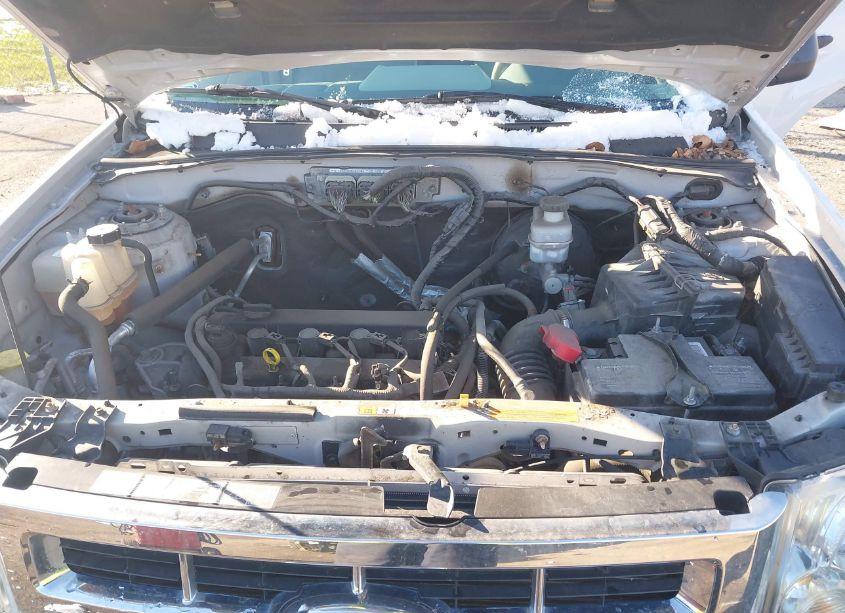 Photo 10 of 2010 Ford Escape XLT (VIN 1FMCU0D70AKC88676)