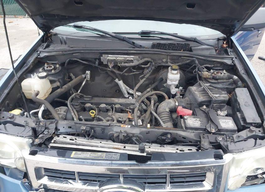 Photo 10 of 2010 Ford Escape XLT (VIN 1FMCU0D70AKC91657)