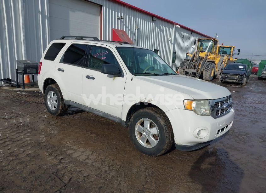 2011 Ford Escape XLT (VIN 1FMCU0D70BKA62834) main photo