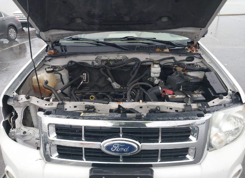 Photo 10 of 2011 Ford Escape XLT (VIN 1FMCU0D71BKA13481)