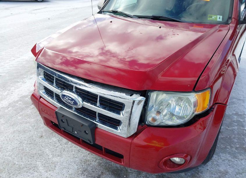 Photo 18 of 2011 Ford Escape XLT (VIN 1FMCU0D71BKA19197)