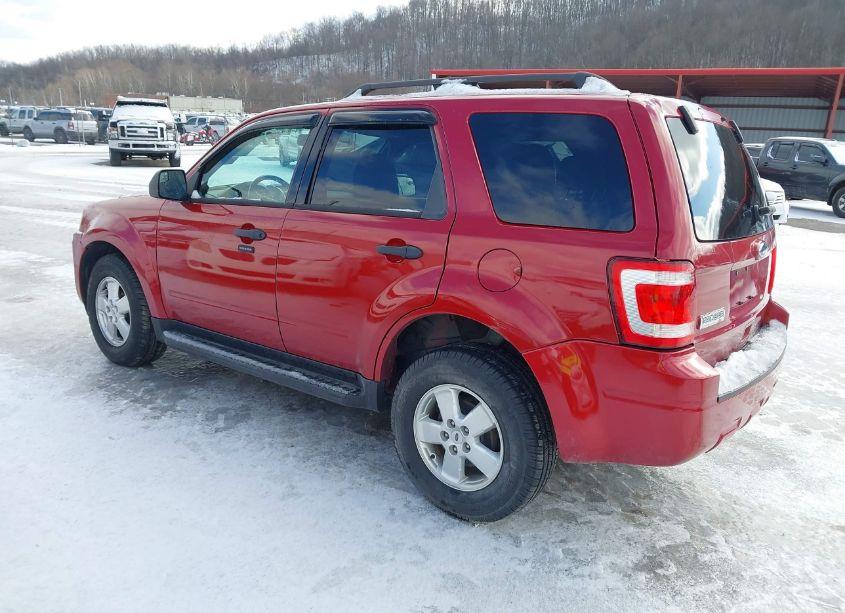 Photo 3 of 2011 Ford Escape XLT (VIN 1FMCU0D71BKA19197)