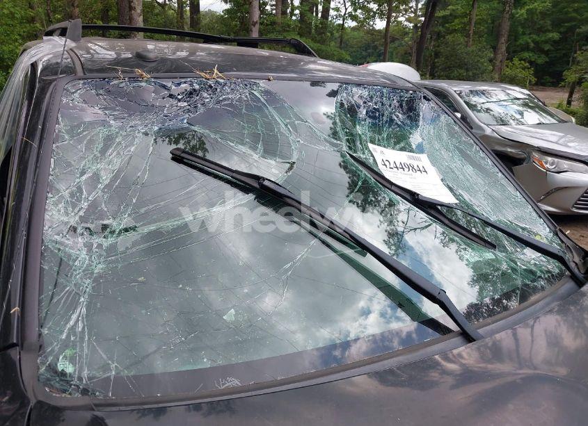 Photo 15 of 2011 Ford Escape XLT (VIN 1FMCU0D71BKA19880)