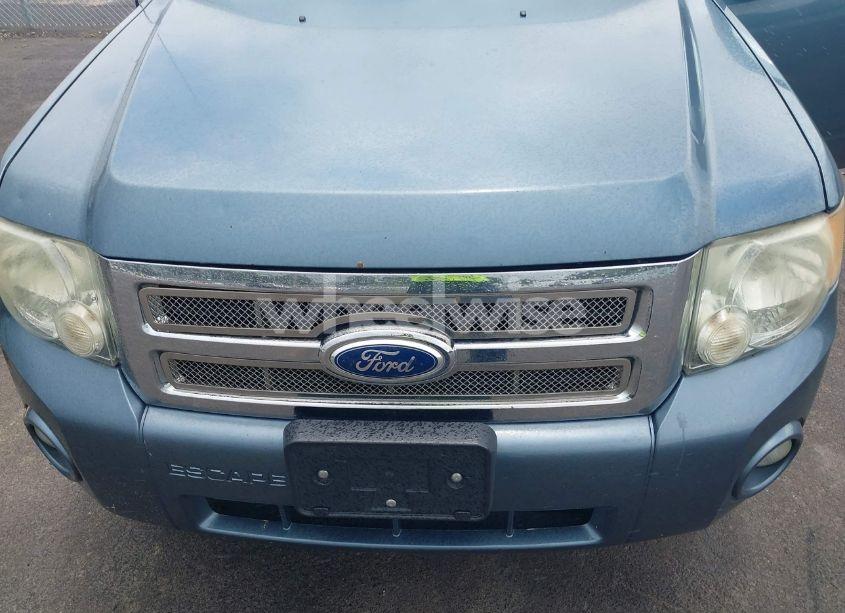 Photo 6 of 2011 Ford Escape XLT (VIN 1FMCU0D72BKC48925)