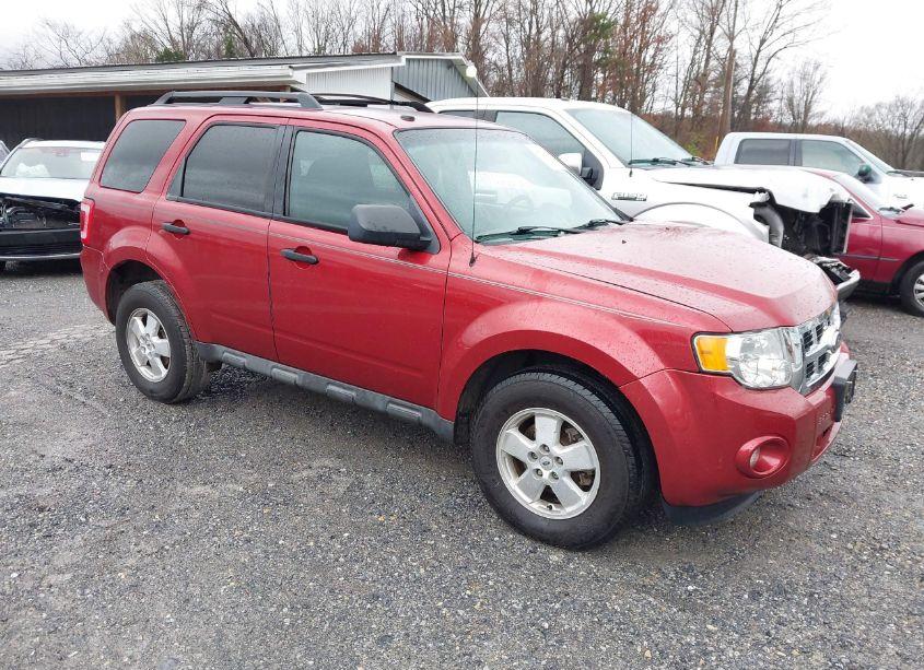 2012 Ford Escape XLT (VIN 1FMCU0D72CKC29308) main photo