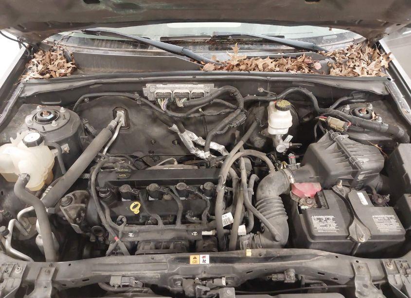 Photo 10 of 2010 Ford Escape XLT (VIN 1FMCU0D73AKC77056)