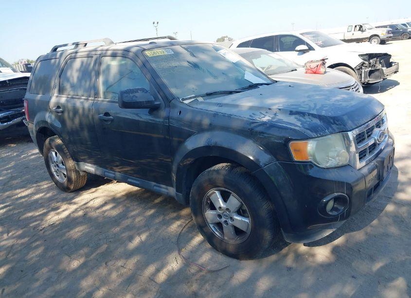 2010 Ford Escape XLT (VIN 1FMCU0D74AKB28610) main photo