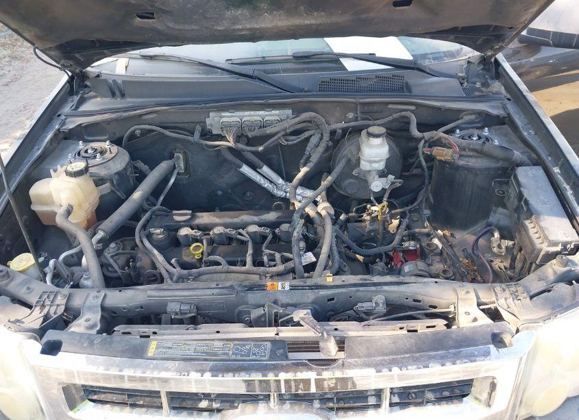 Photo 10 of 2010 Ford Escape XLT (VIN 1FMCU0D74AKB28610)