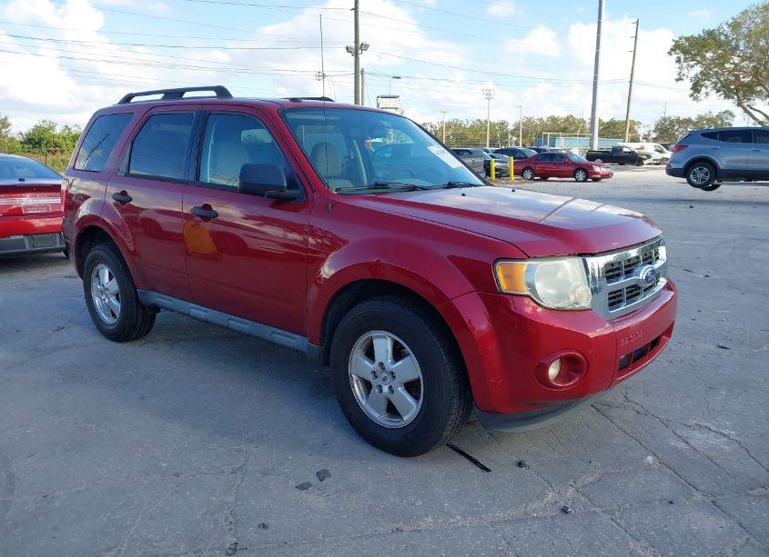 2011 Ford Escape XLT (VIN 1FMCU0D74BKB83429) main photo