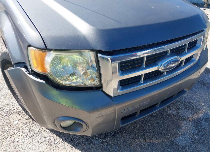 Photo 14 of 2010 Ford Escape XLT (VIN 1FMCU0D75AKA29956)