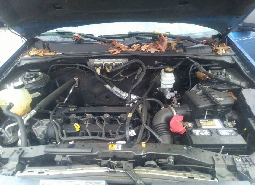 Photo 10 of 2010 Ford Escape XLT (VIN 1FMCU0D75AKB11573)