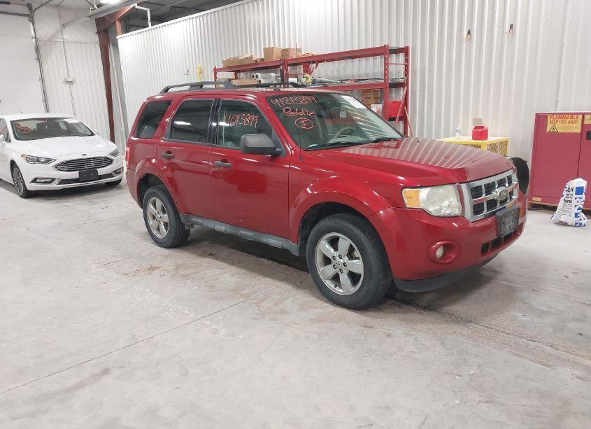 2011 Ford Escape XLT (VIN 1FMCU0D75BKA07831) main photo