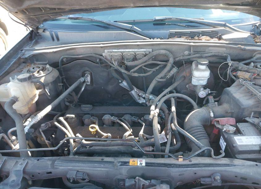 Photo 10 of 2011 Ford Escape XLT (VIN 1FMCU0D75BKC24716)