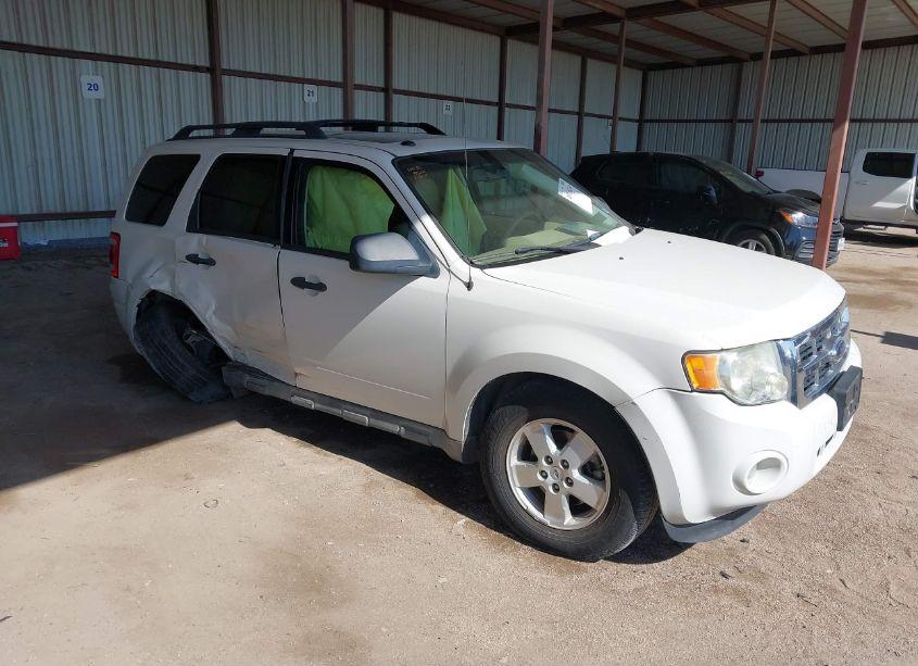 2010 Ford Escape XLT (VIN 1FMCU0D76AKA09764) main photo
