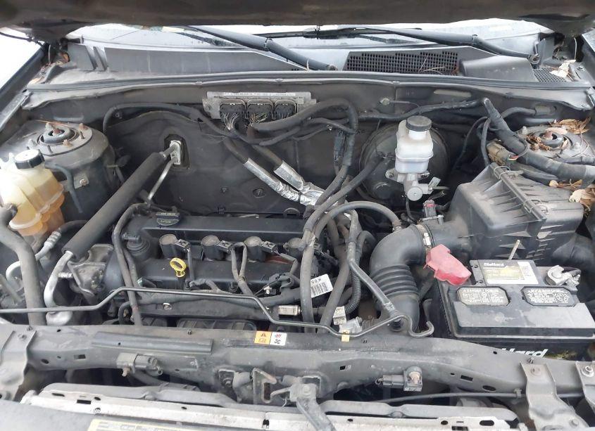 Photo 10 of 2010 Ford Escape XLT (VIN 1FMCU0D76AKB54545)