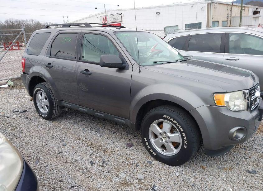 2010 Ford Escape XLT (VIN 1FMCU0D76AKC75737) main photo