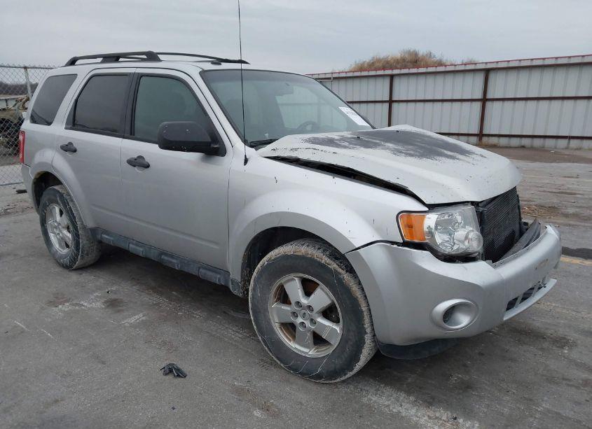 2011 Ford Escape XLT (VIN 1FMCU0D76BKA21849) main photo