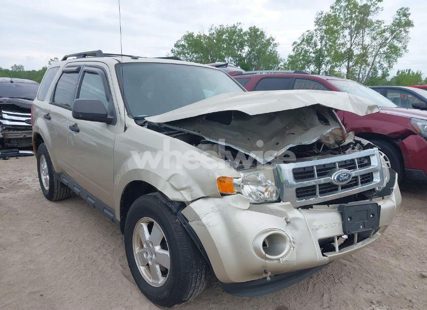2011 Ford Escape XLT (VIN 1FMCU0D76BKB02169) main photo