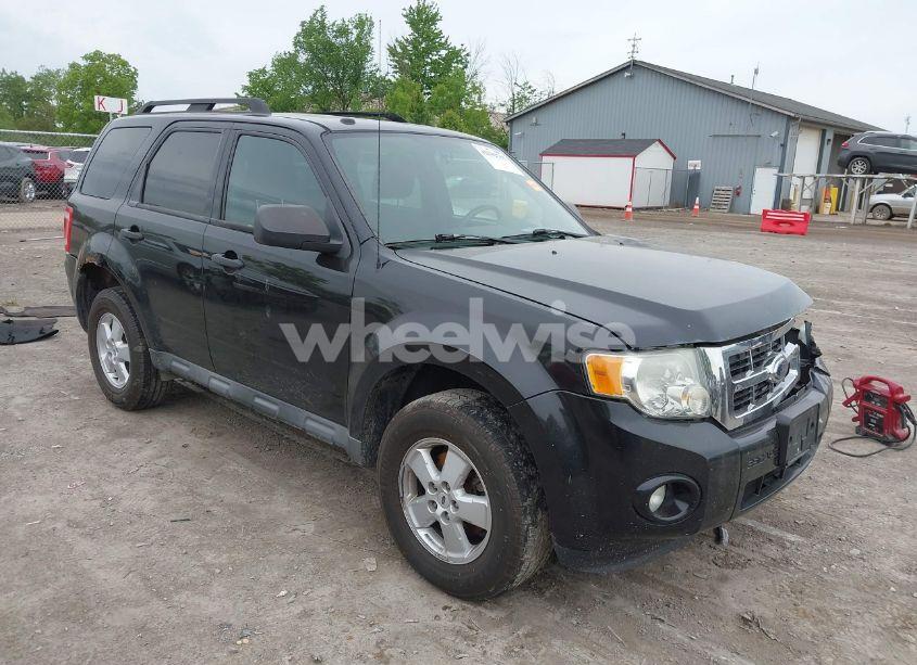 2010 Ford Escape XLT (VIN 1FMCU0D77AKA11703) main photo