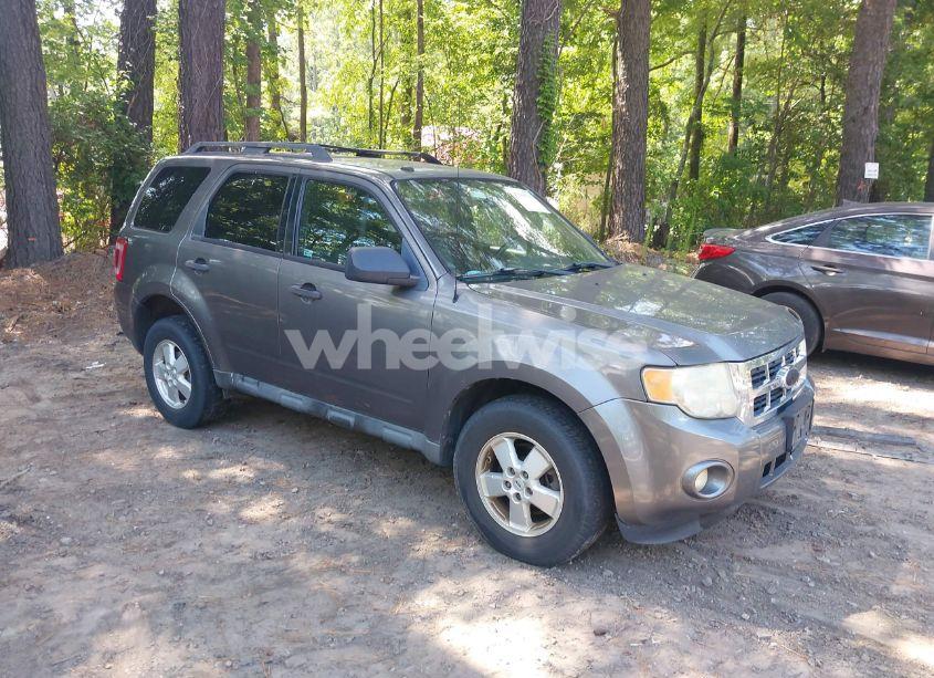 2010 Ford Escape XLT (VIN 1FMCU0D77AKC65556) main photo