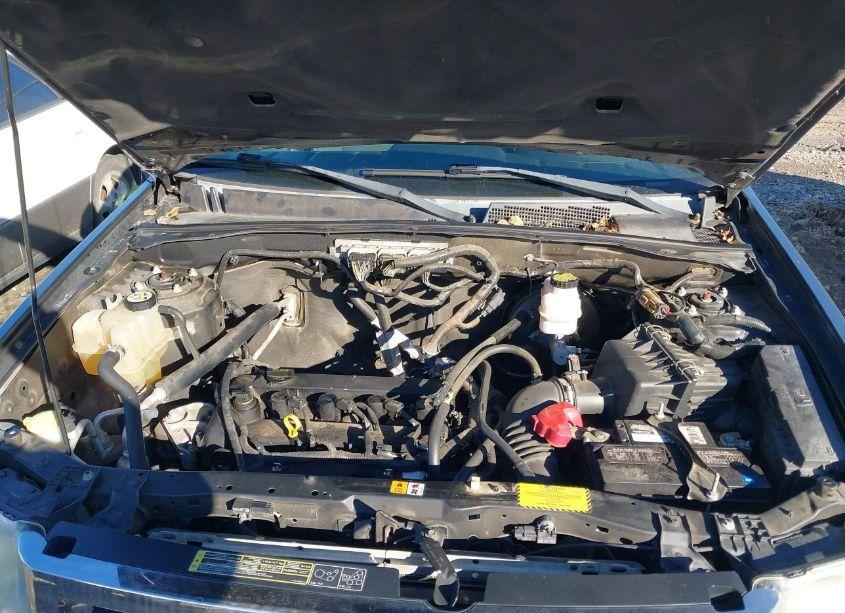 Photo 10 of 2010 Ford Escape XLT (VIN 1FMCU0D77AKD30602)