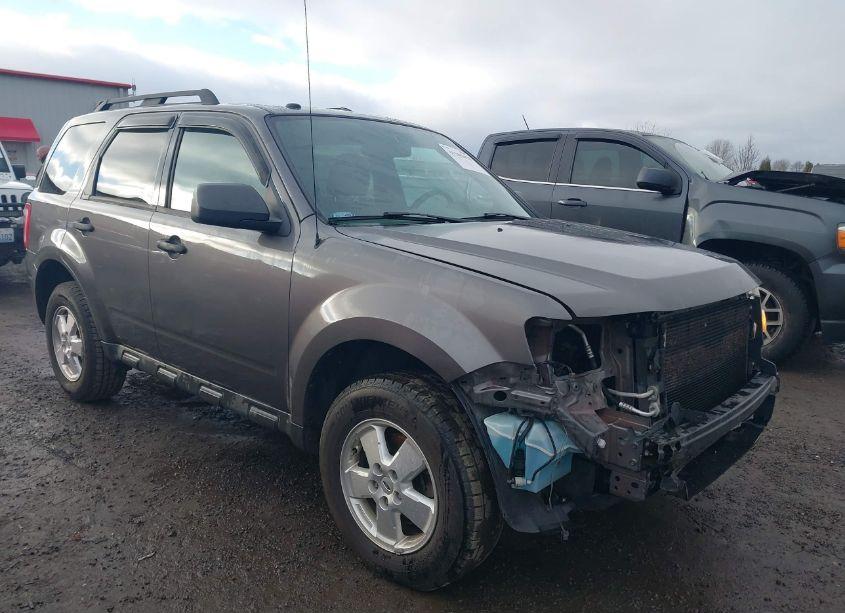 2011 Ford Escape XLT (VIN 1FMCU0D77BKB84493) main photo