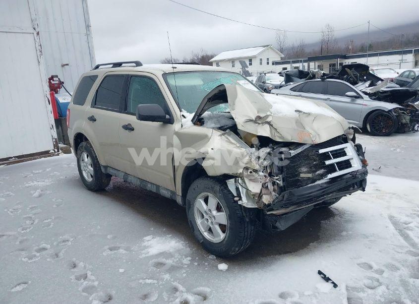 2010 Ford Escape XLT (VIN 1FMCU0D78AKC25339) main photo