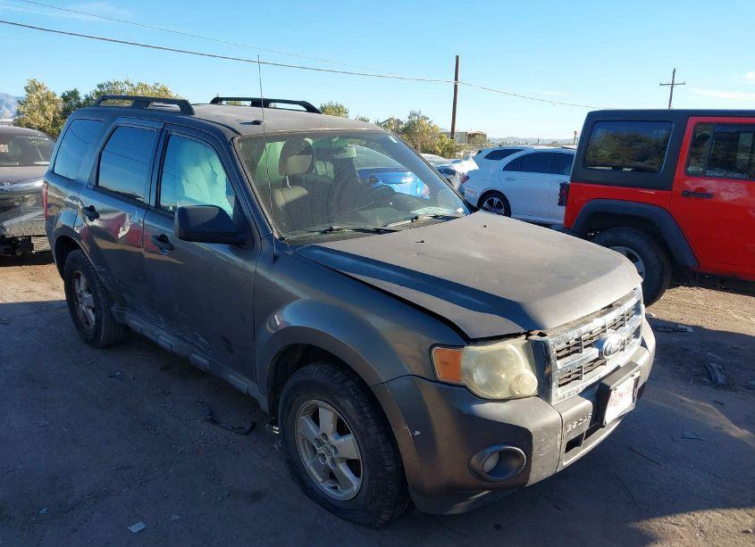 2010 Ford Escape XLT (VIN 1FMCU0D78AKD46288) main photo