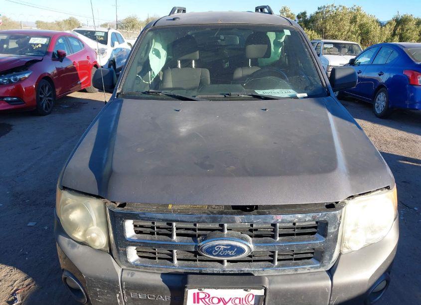 Photo 12 of 2010 Ford Escape XLT (VIN 1FMCU0D78AKD46288)