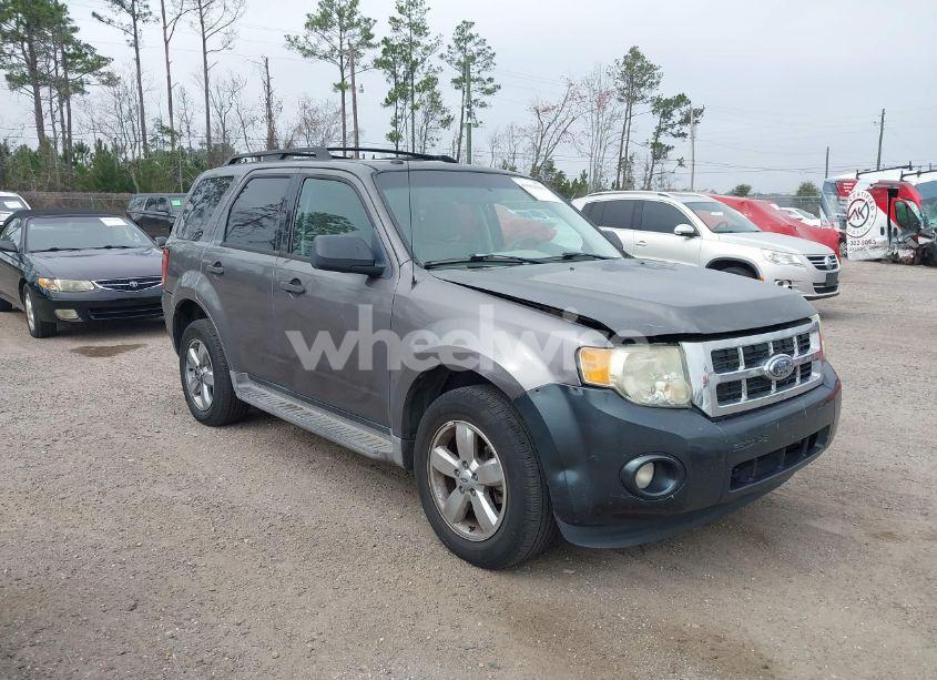 2011 Ford Escape XLT (VIN 1FMCU0D78BKA31492) main photo