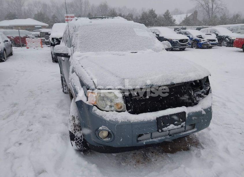 2010 Ford Escape XLT (VIN 1FMCU0D79AKC64599) main photo