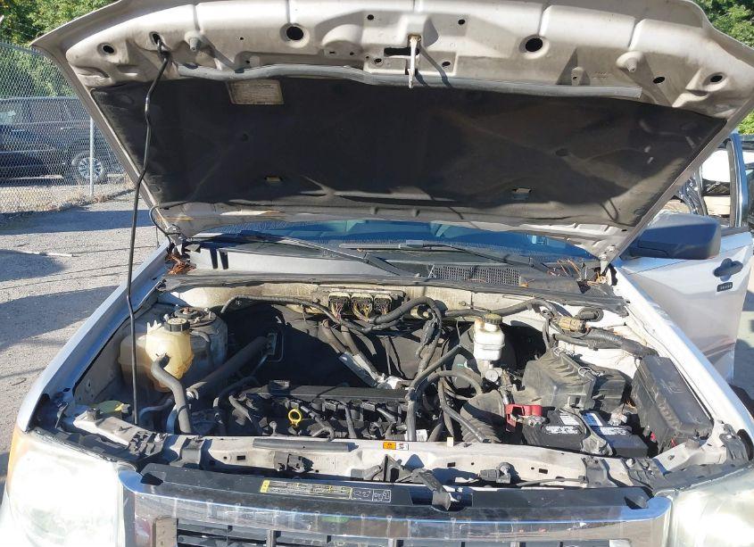 Photo 10 of 2010 Ford Escape XLT (VIN 1FMCU0D79AKC99742)