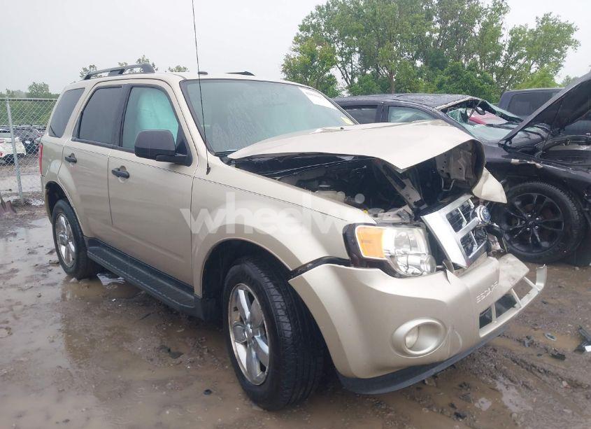 2011 Ford Escape XLT (VIN 1FMCU0D79BKA66350) main photo
