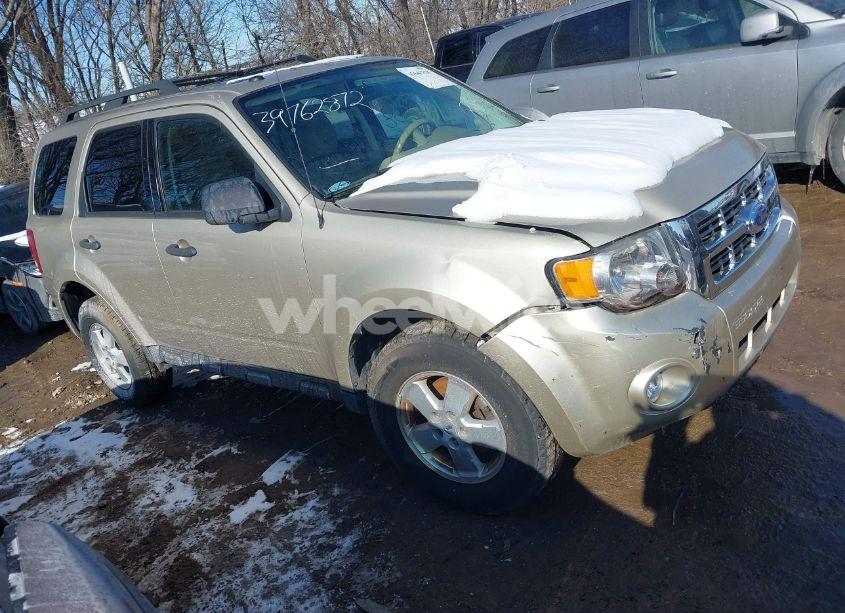 2011 Ford Escape XLT (VIN 1FMCU0D79BKC17042) main photo