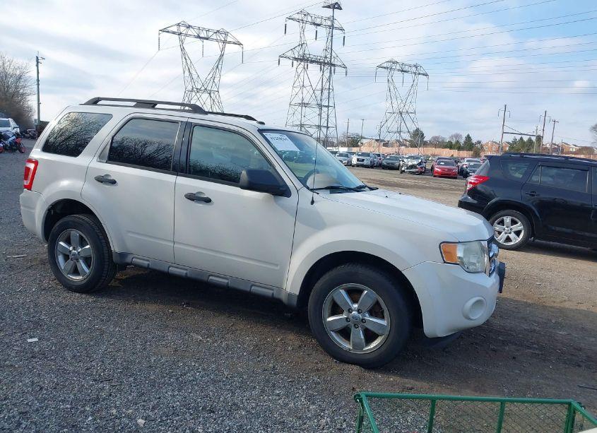 2010 Ford Escape XLT (VIN 1FMCU0D7XAKB20186) main photo