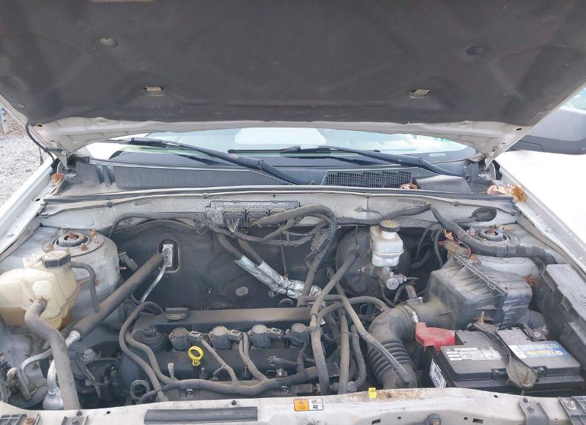 Photo 10 of 2010 Ford Escape XLT (VIN 1FMCU0D7XAKB20186)