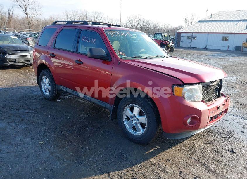 2011 Ford Escape XLT (VIN 1FMCU0D7XBKA05038) main photo