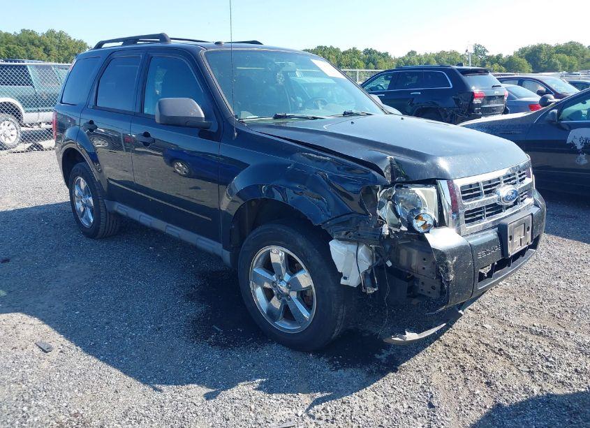 2011 Ford Escape XLT (VIN 1FMCU0D7XBKA47029) main photo