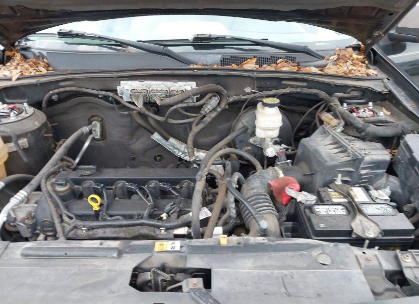 Photo 10 of 2011 Ford Escape XLT (VIN 1FMCU0D7XBKA47497)