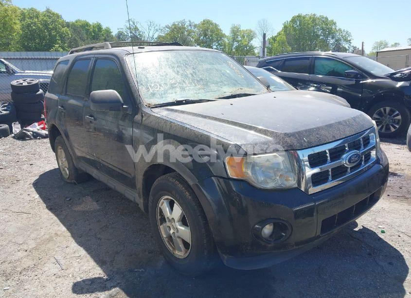 2011 Ford Escape XLT (VIN 1FMCU0D7XBKA54899) main photo