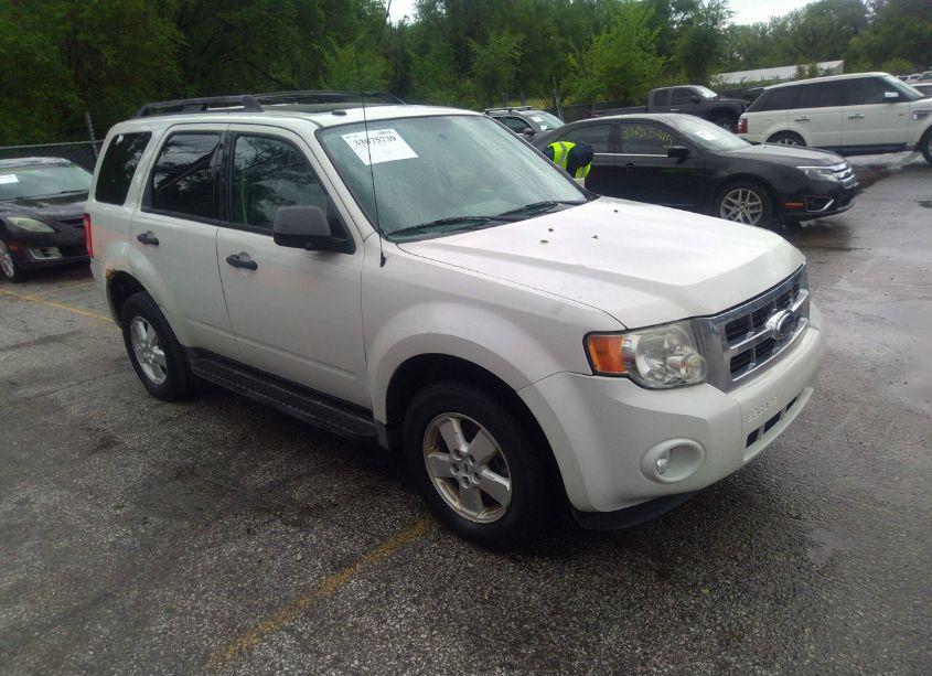 2010 Ford Escape XLT (VIN 1FMCU0DG0AKA44302) main photo