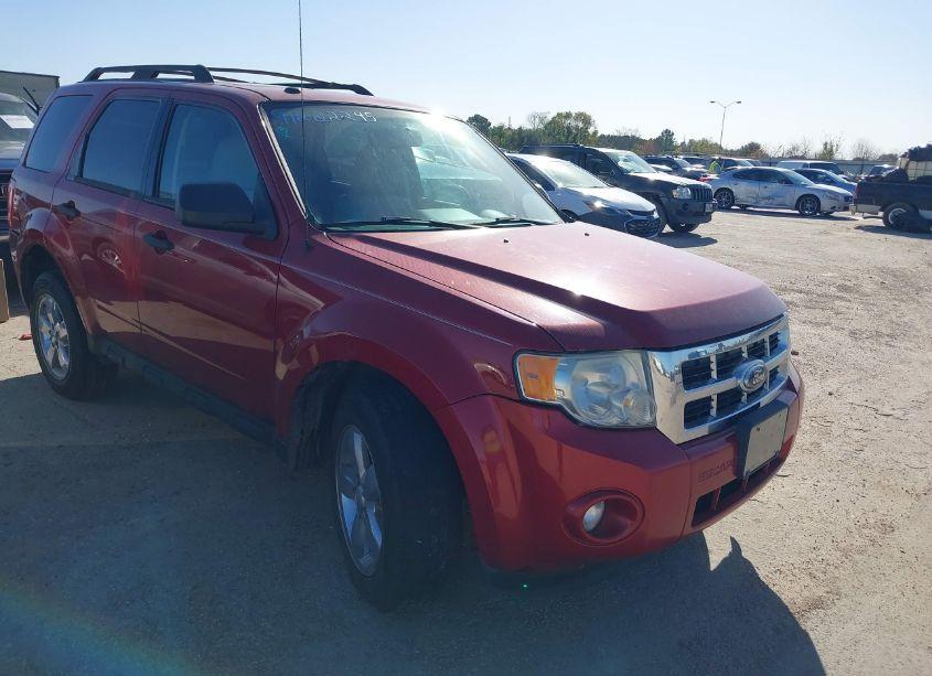 2010 Ford Escape XLT (VIN 1FMCU0DG0AKB09343) main photo