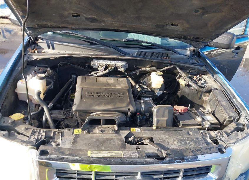 Photo 10 of 2010 Ford Escape XLT (VIN 1FMCU0DG1AKC84894)