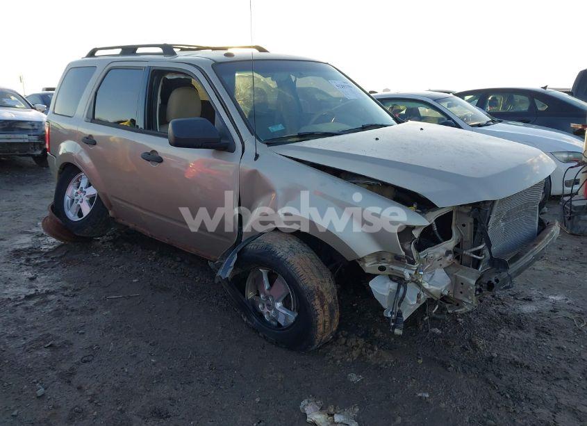 2010 Ford Escape XLT (VIN 1FMCU0DG1AKD42423) main photo