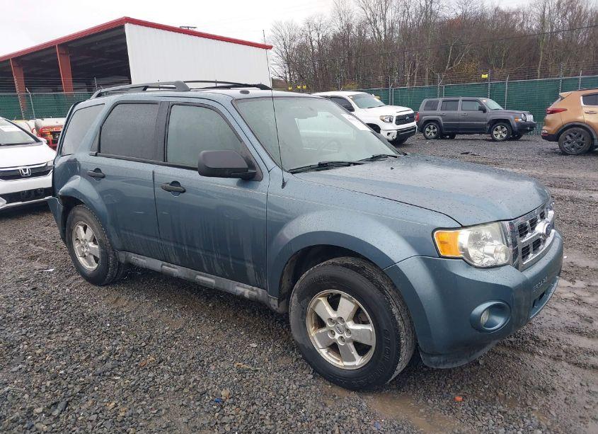 2010 Ford Escape XLT (VIN 1FMCU0DG1AKD43913) main photo