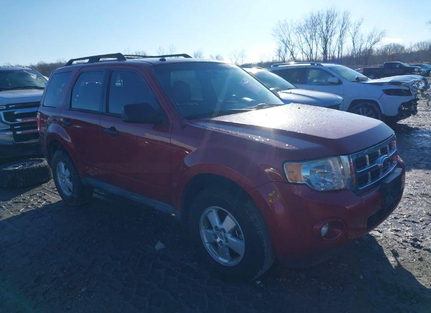 2010 Ford Escape XLT (VIN 1FMCU0DG2AKC67537) main photo
