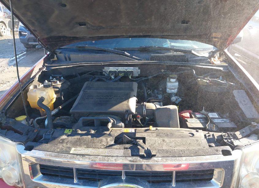 Photo 10 of 2010 Ford Escape XLT (VIN 1FMCU0DG2AKC67537)