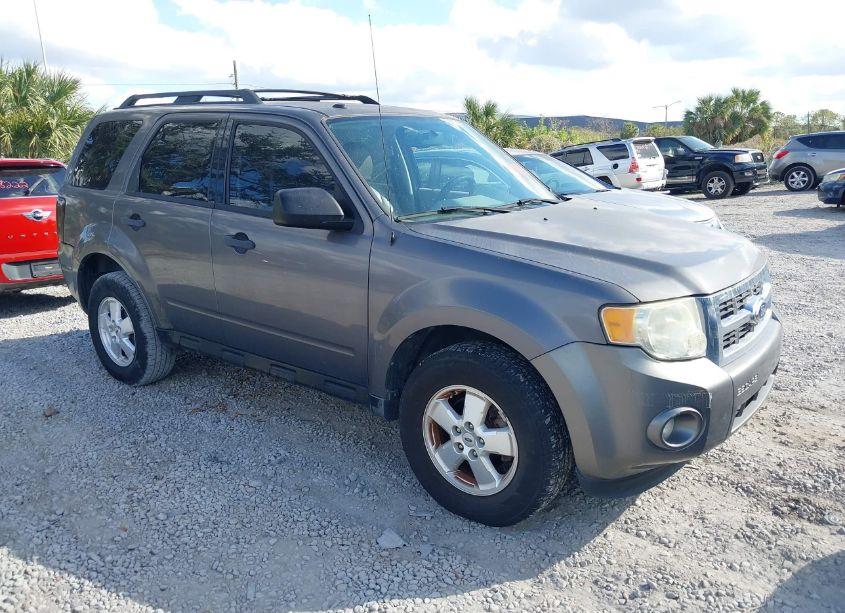 2011 Ford Escape XLT (VIN 1FMCU0DG2BKA79019) main photo