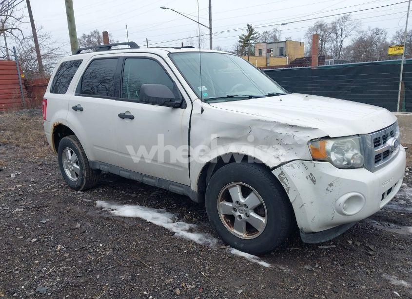 2011 Ford Escape XLT (VIN 1FMCU0DG2BKB58657) main photo